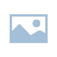 张军致烟台市中级人民法院的公开信